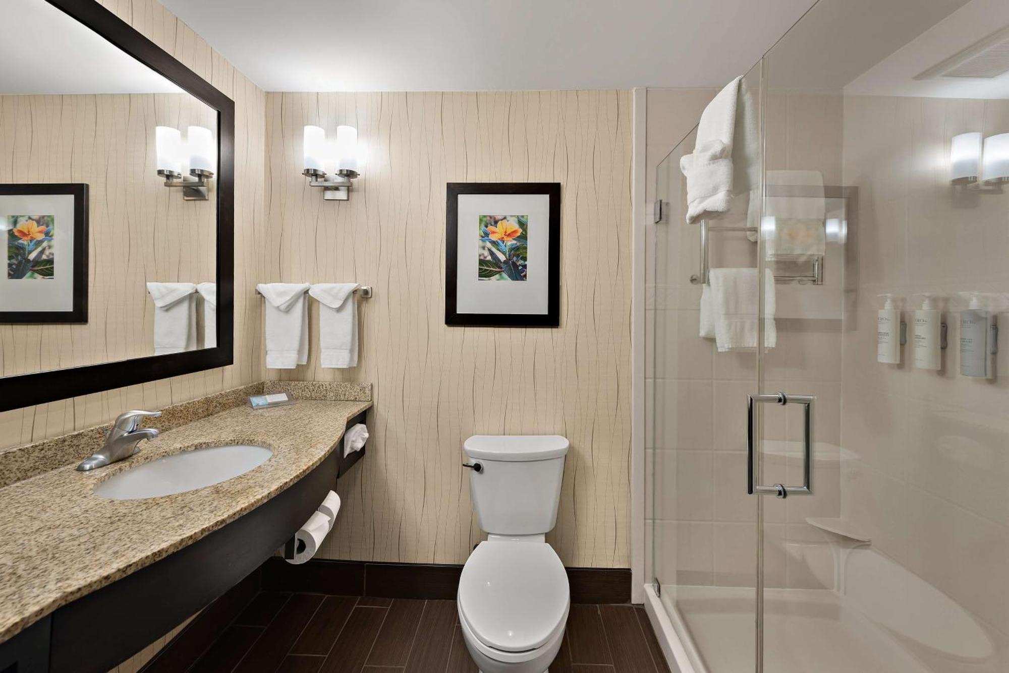 Hilton Garden Inn Findlay Exteriör bild
